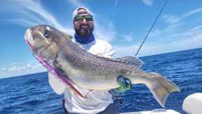 How To Find Fish? | Slow Pitch Jigging | Golden Tilefish | Offshore Fishing | JohnnyJigs