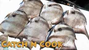 Most Underrated Saltwater Fish?? Catch and Cook Spadefish
