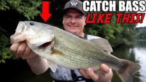 3 Summer Jig Fishing Tips to Catch BIG Bass!