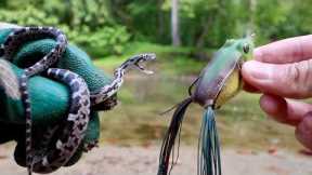 LIVE BAIT vs. ARTIFICIAL LURES -- FISHING EXPERIMENT!!! (Snake vs. Frog vs. Worm)