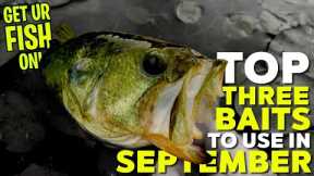 Top 3 Bass Fishing Bait to use in September - Beginner Fishing Tips 2022