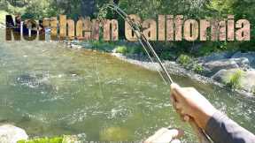Fly Fishing In Beautiful Northern California - Free Form Fly Fisher