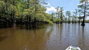 My new Kayak has a Pedal Drive - it's Fantastic!  Fly Fishing from the JK Bite FD!