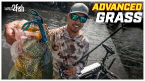 How to Find and Catch Bass in Weedy Lakes