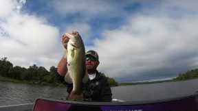 Lake Fork Fall Bass Fishing  Tips That Won $50,000 In Tournaments!!!