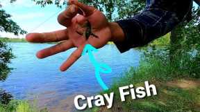 How to Use Crayfish to Catch BASS | Watch How Quickly the Fish Bit