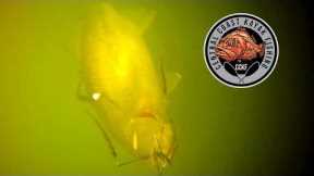 UNBELIEVABLE Underwater Fish Strikes - GoFish Camera Compilation