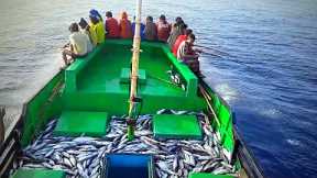 Amazing Fast Tuna Fishing Skill, Catching Too Many Big Fish Tuna on The Sea Japan.(09.05.)