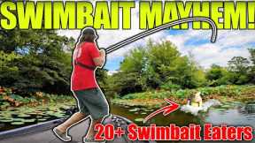 The Most EPIC Day Swimbait Fishing You’ve EVER Seen!! (Non-Stop Catching!)