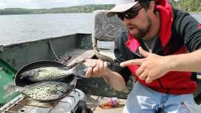 Cooking Fish In My Boat (CATCH AND COOK)