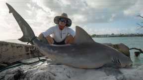 GIANT Bull Shark! Catch Clean Cook (FL Keys Bridge Fishing)