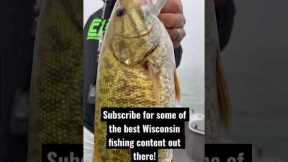 Big Wisconsin Smallmouth Bass Fishing Drop Shots!