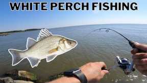 Chesapeake Bay Fishing! (White Perch Catch Clean Cook)