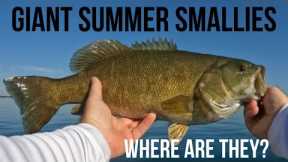 Lake St Clair Smallmouth Bass Fishing On Anchor Bay | Where to find GIANT smallies in late summer