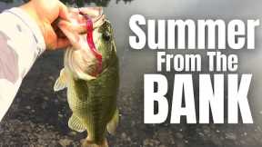 SUMMERTIME Bass Fishing FROM THE BANK (3 Lures You NEED)