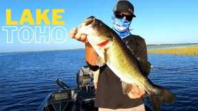 Lake Toho Bass Fishing Grass Lines | Summertime Bass Fishing