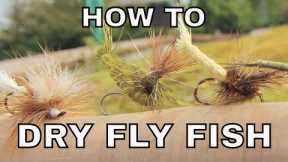 Dry Fly Fishing | How To with Tom Rosenbauer
