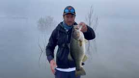 Bass Fishing at Albert Falls Dam has SWITCHED on BIG TIME !! Bass Fishing South Africa.