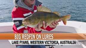 Fishing Edge episode - Big redfin, European perch, on lures at Lake Fyans
