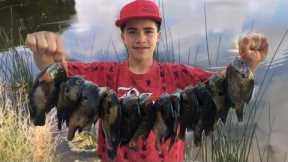 Bass And Bluegill Fishing: Kids Catch Over 50 Fish In A Few Hours