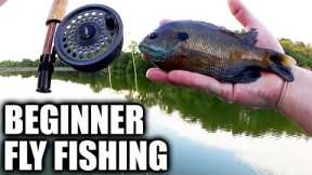 Beginner Fly Fishing - Fly Fishing for Bluegill From a Dock