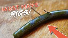 Bass Fishing 101: 5 Bass Fishing Rigs You NEED to KNOW!!