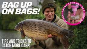 SUPERCHARGE Your PVA Bag Fishing! | Tips and Tricks | Willow Park Fishery