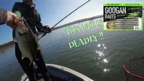 Bass Fishing Albert Falls Dam on fire, The Fishing Effect beat me with a GOOGAN BAITS Mondo worm