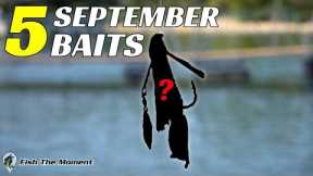 DON'T Go To the Lake In September WITHOUT These 5 Baits!