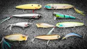 FALL TOPWATER FISHING: The BEST Baits For EVERY Situation!