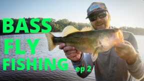 BASS FLY FISHING ep. 2 ( how to)