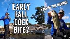 September Dock Bite | Bass Fishing | Lake Of The Ozarks