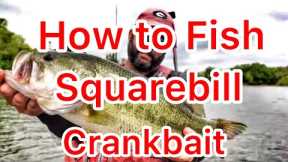 How to Fish a Squarebill Crankbait - Fall Bass Fishing