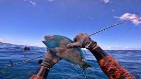 Pananu Play Dead / Spearfishing Hawaii Catch n Cook