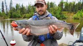 Catching Wild Coho Salmon with Homemade Bait