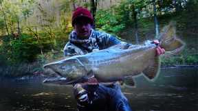 Fly Fishing for King Salmon: Why I QUIT Doing This!