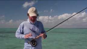 Inshore Saltwater Fly Fishing - How To