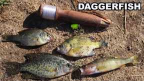 Catching Dinner With An Ancient Fishing Method - Catch and Cook for Bluegill, Perch & Crappie.