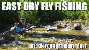 Easy Dry Fly Fishing: Small Creek Cutthroat Trout. Reading Water & High Catch Rate