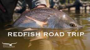 Fly Fishing for Redfish in Texas & Louisiana | Redfish Road Trip - Part 1