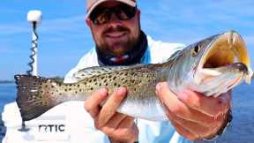 Top 3 Types Of Spots To Fish On A Incoming Tide (And Why)