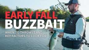 Early Fall BUZZBAIT! (When & Why you should throw it)