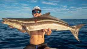 Nearly IMPOSSIBLE to Catch this Fish... Catch Clean Cook (Cobia)