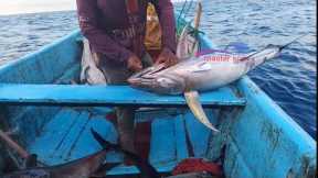 AMAZING GIANT TUNA & SWORDFISH LONG LINE FISHING VIDEOS IN INDIAN OCEAN SEA 🌊