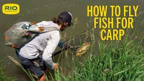 How To Fly Fish For Carp S5 E11