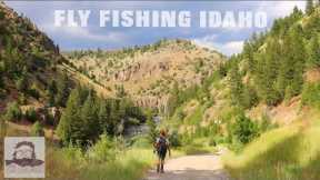 Plan C | amazed how it turned out | Fly Fishing Idaho