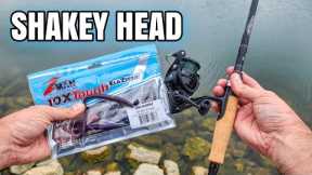 Shakey Head CATCHES Late Summer Bass (Bank Fishing)