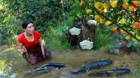 Pick apple & mushroom catch fish for food in forest- Cooking fish spicy with mushroom so delicious