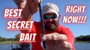 Lake Fork Bass Fishing Tournament Tips: Top Secret Plastic Worm Bait 90% Of Anglers Aren't Using!!!