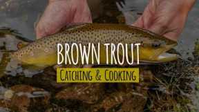 Catch Brown Trout With Hands and Cook Near Waterfall | Trout Catch & Cook | Trout Catching & Cooking